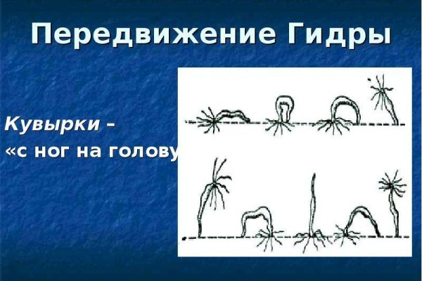 Зеркало kraken тор ссылка рабочее