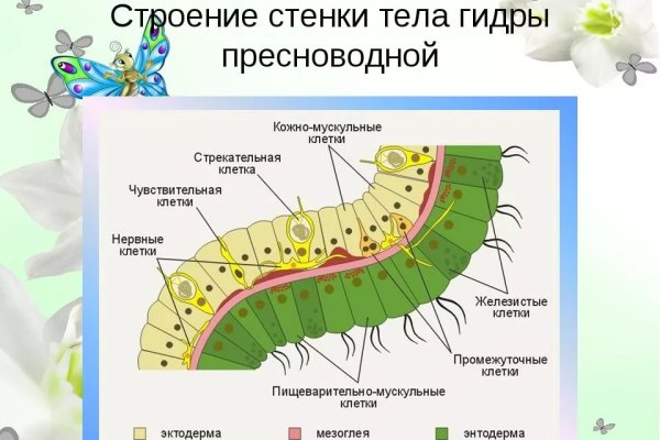 Кракен даркнет сайт на русском