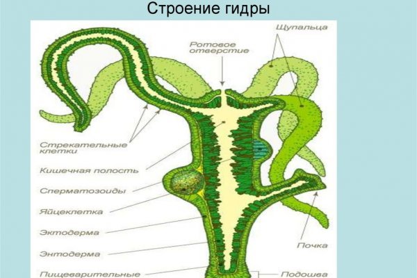 Кракен маркетплейс kr2web in площадка торговая